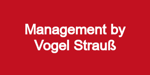 Management by Vogel Strauß - GewerbeHelfer